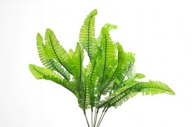 Ramo helecho x7 (1).jpg